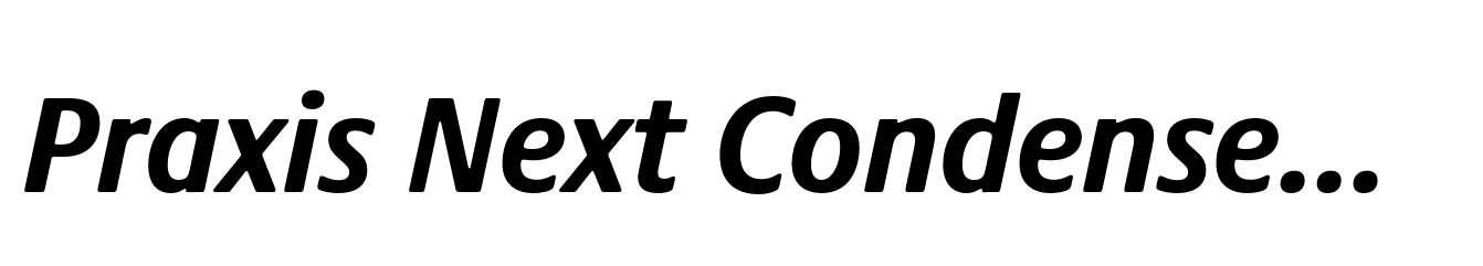 Praxis Next Condensed Bold Italic